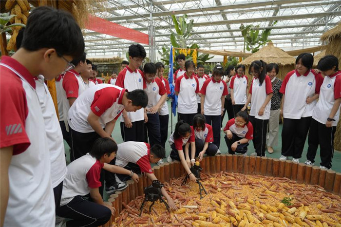 图片8.jpg