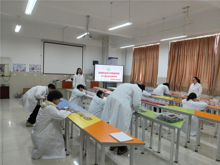 图片5.jpg 图片5.jpg